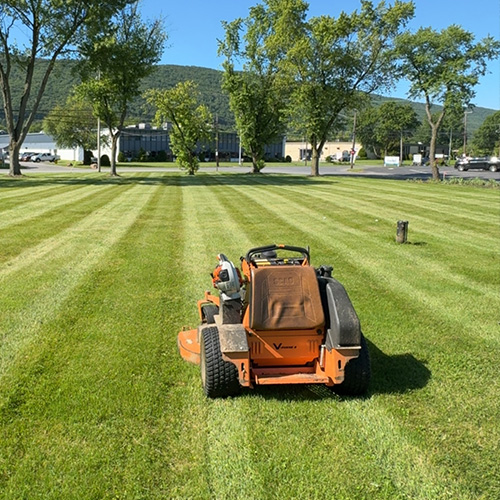 Williamsport Lawn Care, Mowing Service, Landscaper