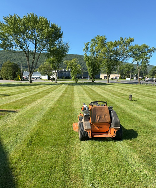 Professional Lawn Care